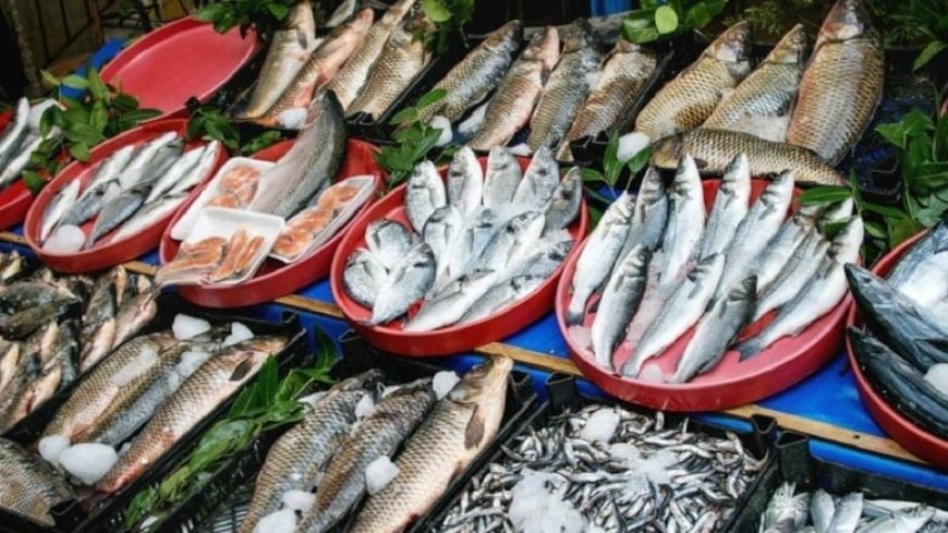 Ordu Balık Fiyatları