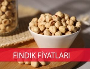 Ordu Fındık Fiyatı