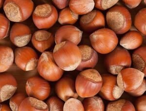 Rekabet Kurulu’ndan Ferrero’ya Şok Karar! 2025 Sonuna Kadar En Az 30 Bin Ton Fındık Alacak