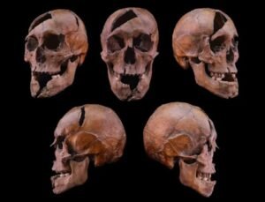 Orta Çağ’da işlenen cinayetin sırrı çözüldü