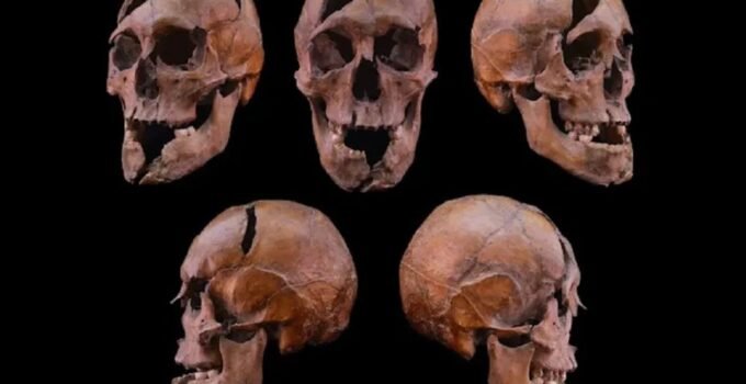 Orta Çağ’da işlenen cinayetin sırrı çözüldü