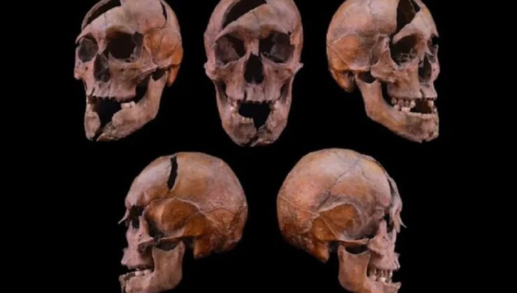 Orta Çağ’da işlenen cinayetin sırrı çözüldü