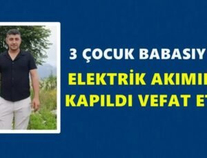 Ordu’da Elektrik Akımına Kapılan Ertaş Ufak Hayatını Kaybetti