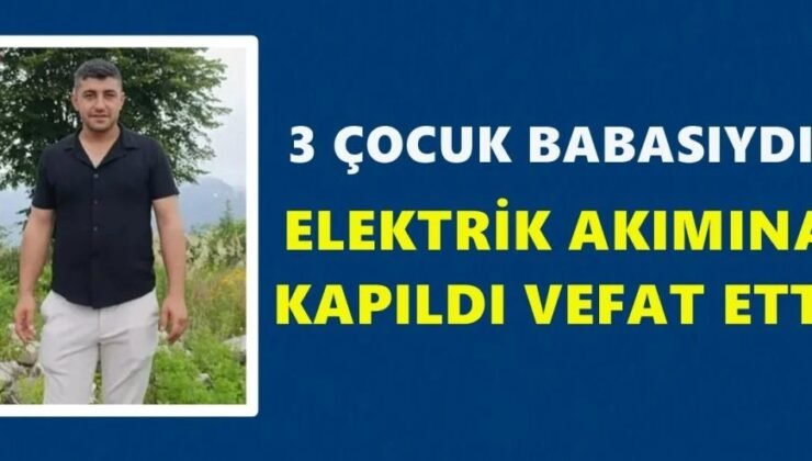 Ordu’da Elektrik Akımına Kapılan Ertaş Ufak Hayatını Kaybetti