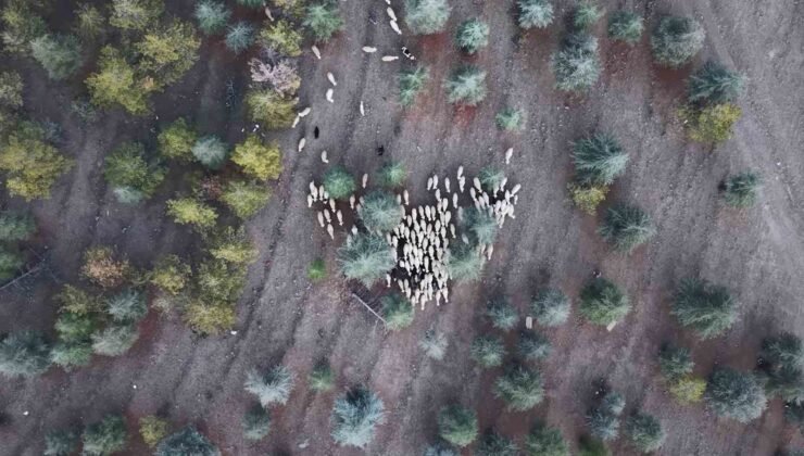 1 milyon 220 bin metrekarelik mera arazisinde “imar planı” iddiası: Müfettişler incelemeye aldı