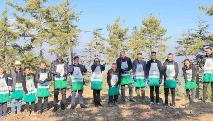 Adana’da bir yılda 50 ton sedir tohumu toprakla buluştu
