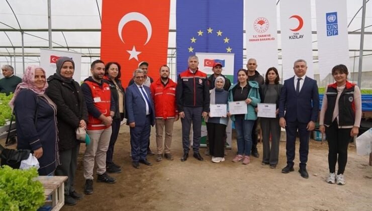Adana’da topraksız marul yetiştiriciliği başladı