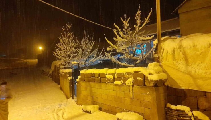 Ahlat’ta kar yağışı