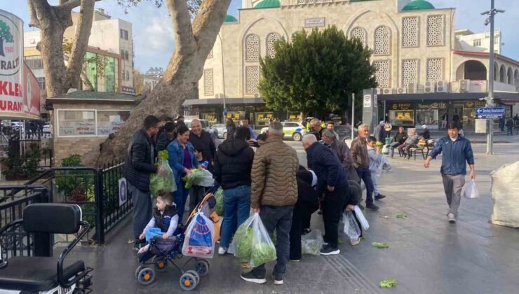 Antalyalı çiftçi ürünlerin çöpe dökülmesine tepki olarak 200 marulu ücretsiz dağıttı