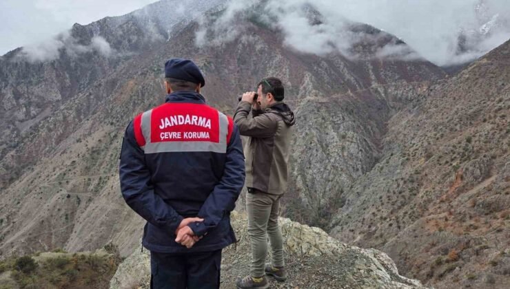 Artvin’de kaçak ve usulsüz avcılığa yönelik denetimler sürüyor