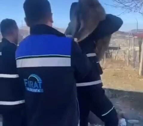 Bahçe çitine sıkışan yaban keçisini FEDAŞ ekipleri kurtardı