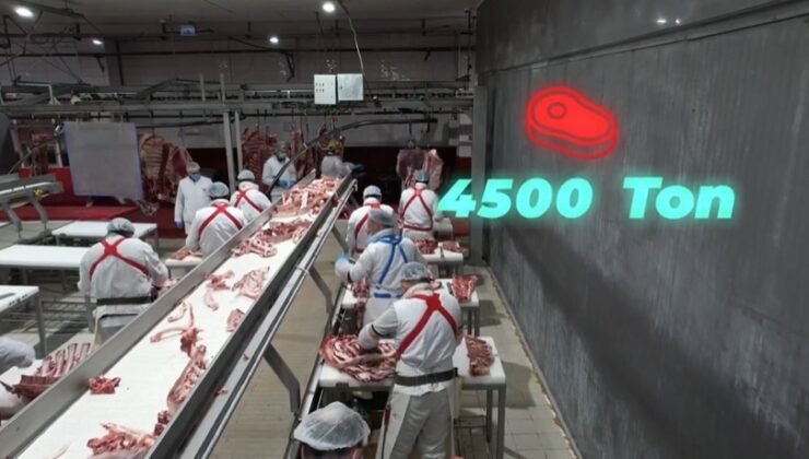 Bakan Yumaklı, “4 bin 500 ton kırmızı et üretimi ile Elazığ’ın tarımsal ve ekonomik potansiyeline güçlü bir katkı sağlayacağız”