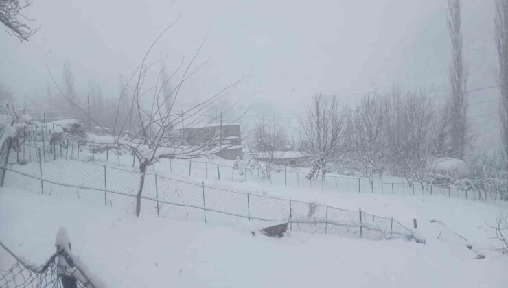 Batman’da kar esareti: 300’ün üzerinde köy ve mezra yolu kapandı