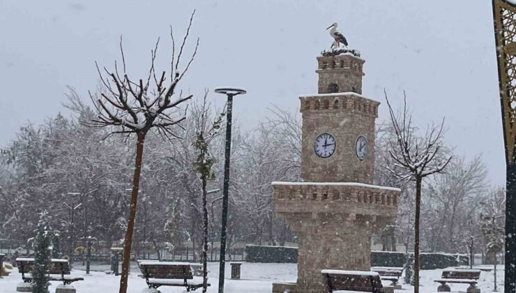 Batman’da kar sevinci: Sokaklar beyaza büründü