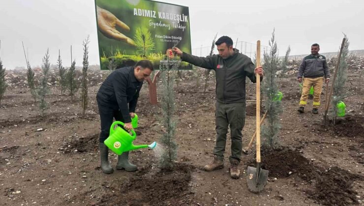 Baybatur’dan yanan orman alanlarına bin fidan