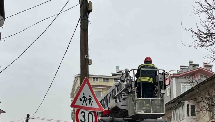 Beyşehir’de itfaiye merdiveni bu kez direğin tepesindeki kedi için uzatıldı