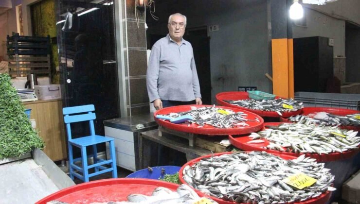Bozdoğan’da balık tezgahlarının en çok tercih edilen çeşidi hamsi oldu