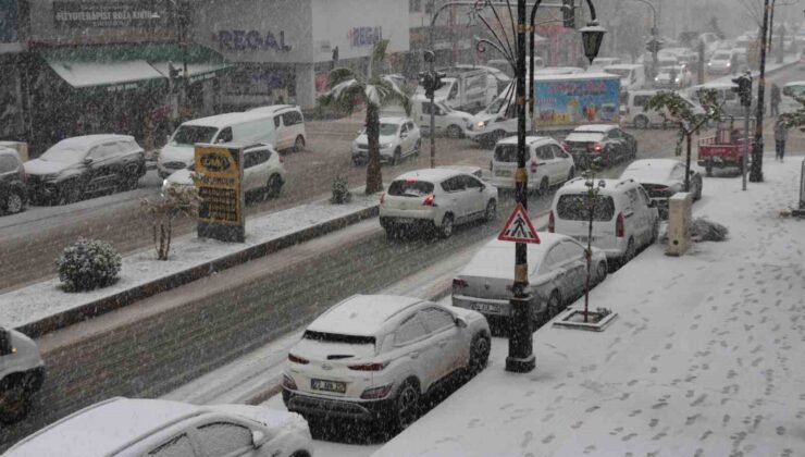 Cizre’de kar yağışı hava ve kara ulaşımını felç etti
