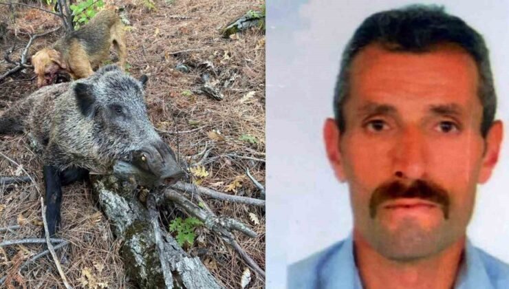 Domuz saldırısı can aldı
