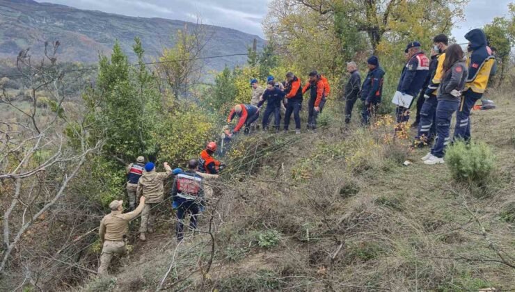 Düştüğü çalılık mezarı oldu