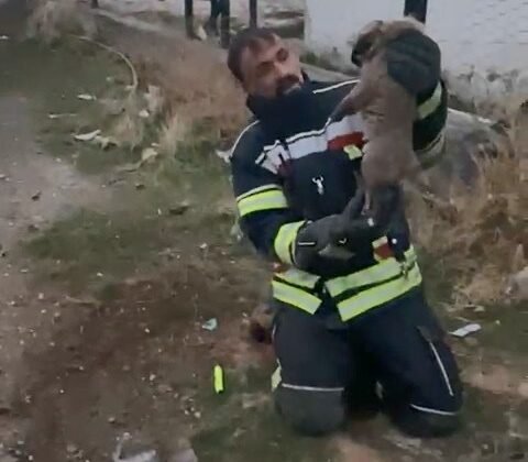 Elazığ’da yürek ısıtan kurtarma operasyonu