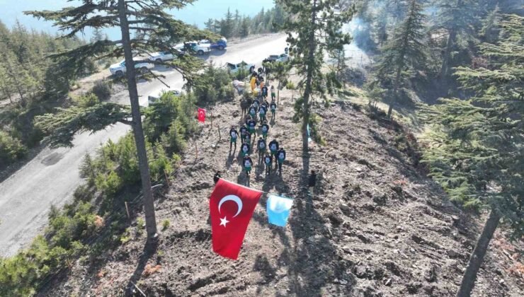Feke’de bir ton tohum toprakla buluştu