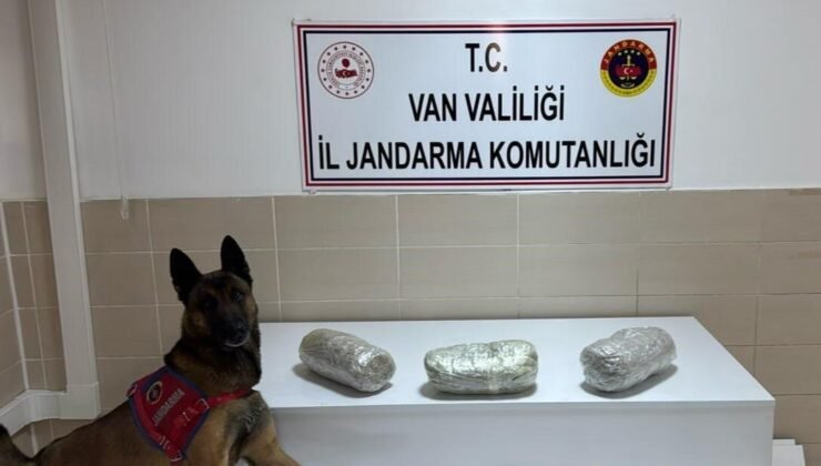 Gevaş’ta 3 kilo esrar ele geçirildi