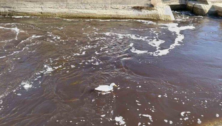 Göksu siyah akmaya başladı, akıllara 3 yıl önceki hadise geldi