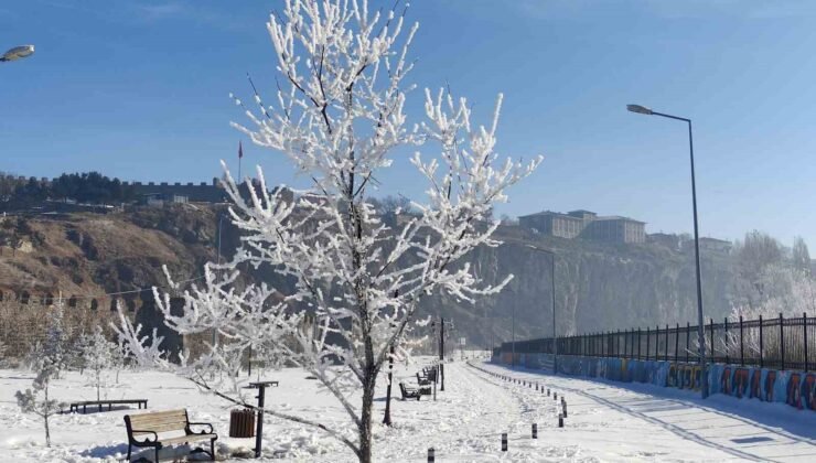 Göle eksi 16 dereceyi gördü, ağaçlar kırağı tuttu