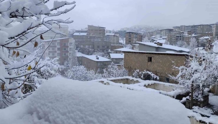 Hakkari’de 13 köy ve 30 mezra yolu ulaşıma kapandı