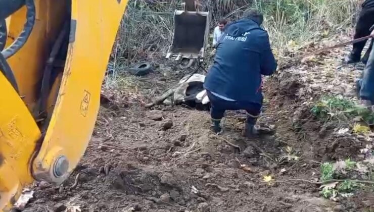 Hatay’da dereye düşen inek itfaiye ekipleri tarafından kurtarıldı