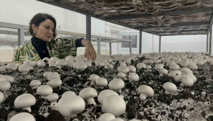 Hem eğitim görüp hem üretiyorlar