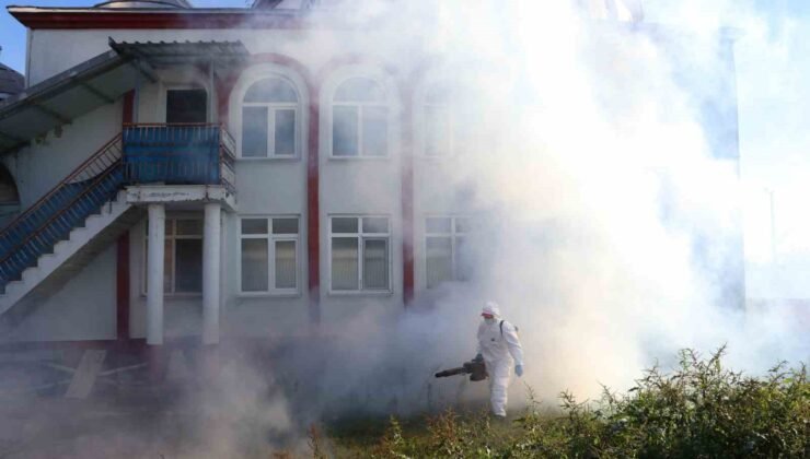 Kahverengi kokarca kışlak mücadelesi sürüyor