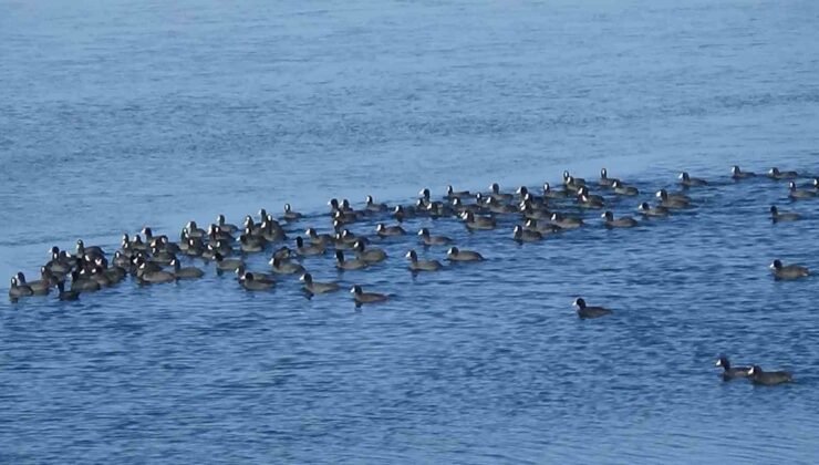 Kars’ın “Yerli Penguenleri” görev başında