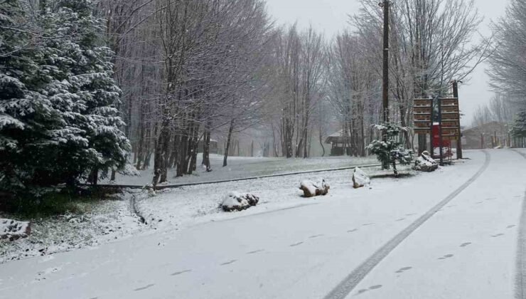 Kartepe’ye lapa lapa kar yağıyor