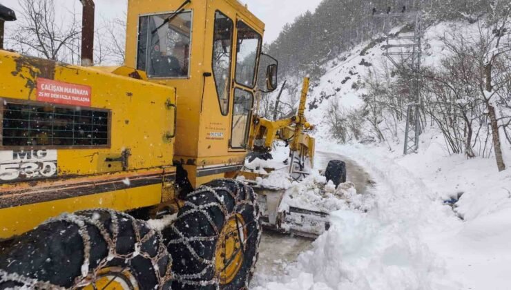 Kastamonu’da kardan yolu kapanan köy sayısı 790’a yükseldi