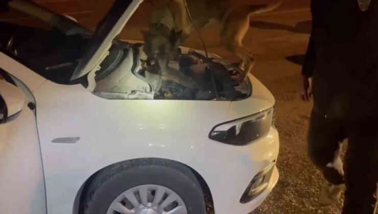 Kastamonu’da uyuşturucu operasyonu: 5 tutuklama