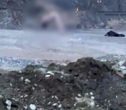 Köprü altında akıllara durgunluk veren görüntüler