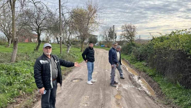 Mahallenin yıllardır süren yol çilesi vatandaşı isyan ettirdi