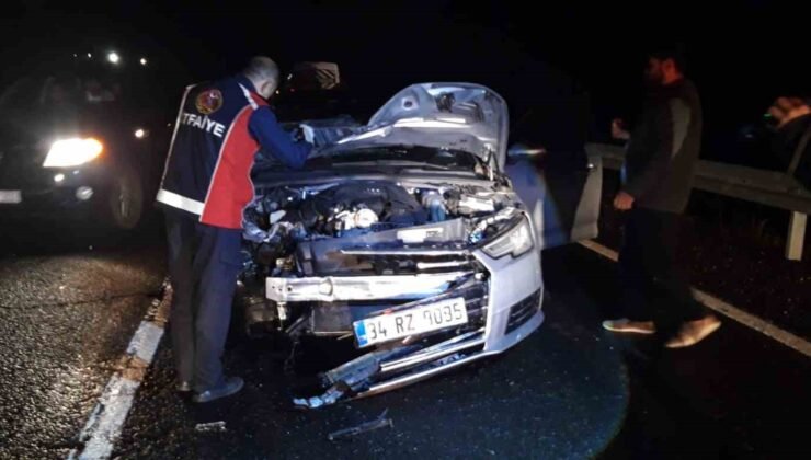Mardin’de otomobilin çarptığı at telef oldu