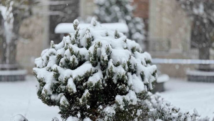 Mazıdağı’nda yoğun kar yağışı ve tipi etkili oluyor