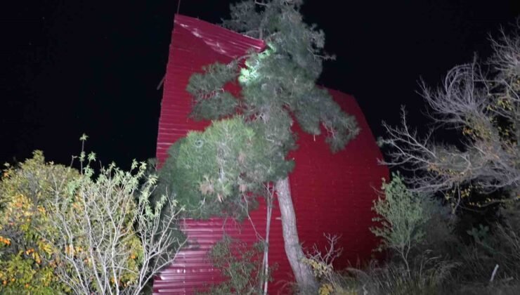 Mersin’de şiddetli rüzgar çatıyı uçurdu, asırlık meşeyi devirdi