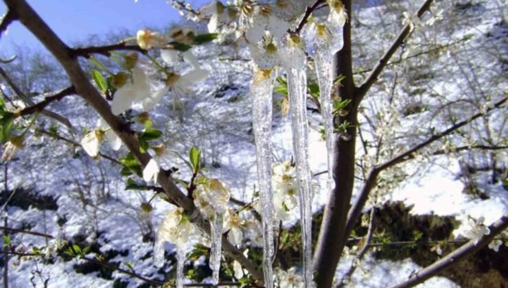 Muğla’da hava sıcaklığı -3’lere düşüyor