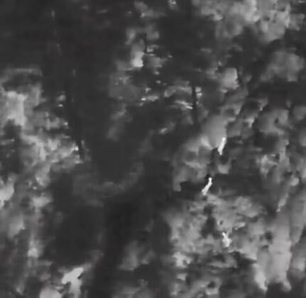 Muğla’da yaban hayatına “dron” kalkanı