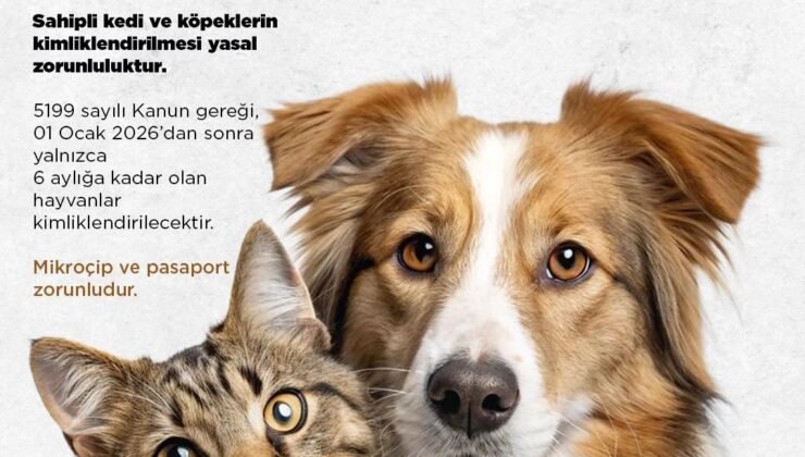 Niğde Belediyesi’nden kedi ve köpek sahiplerine uyarı: Son başvuru 31 Aralık 2025