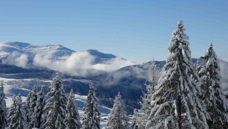Ordu’da kartpostallık kar manzaraları