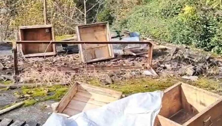 Rize’de ayının kovanlarına saldırdığı üreticiden “Ben şimdi ne edeyim?” tepkisi