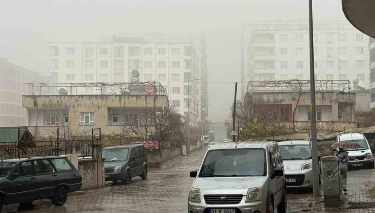 Siirt’te sis ve sağanak yağış etkili oldu