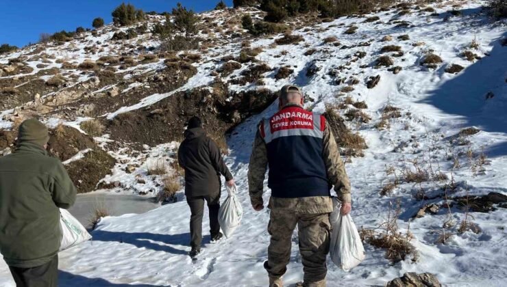 Siirt’te yaban hayvanlarına 750 kilo yem bırakıldı
