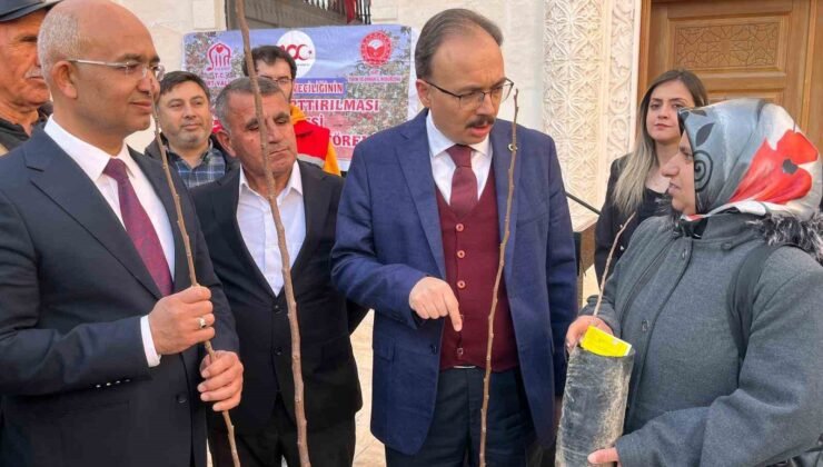 Siirtli çiftçilere 25 bin fıstık ve 4 bin 300 adet Trabzon Hurması fidanı dağıtıldı